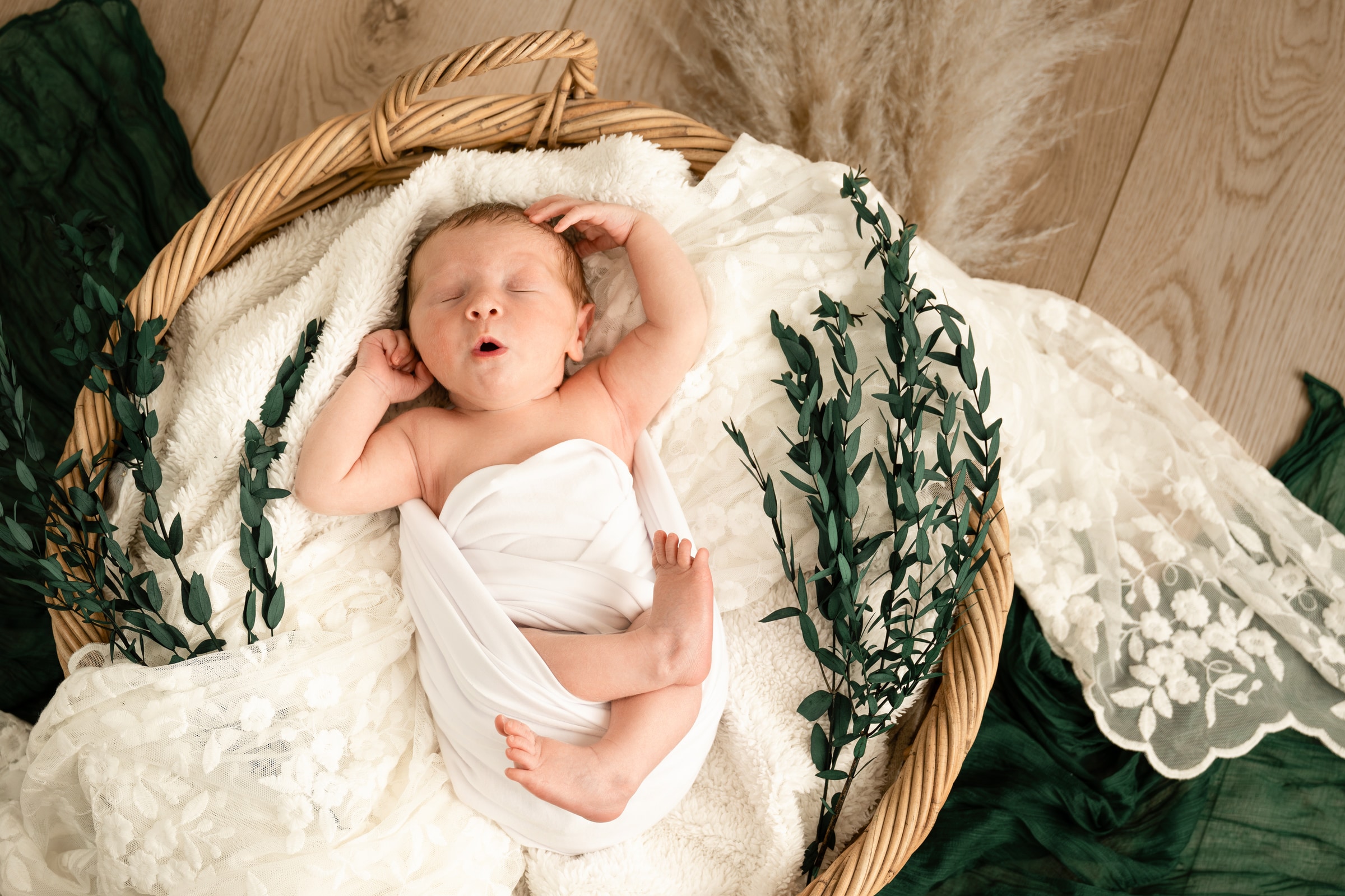 Newborn portrait