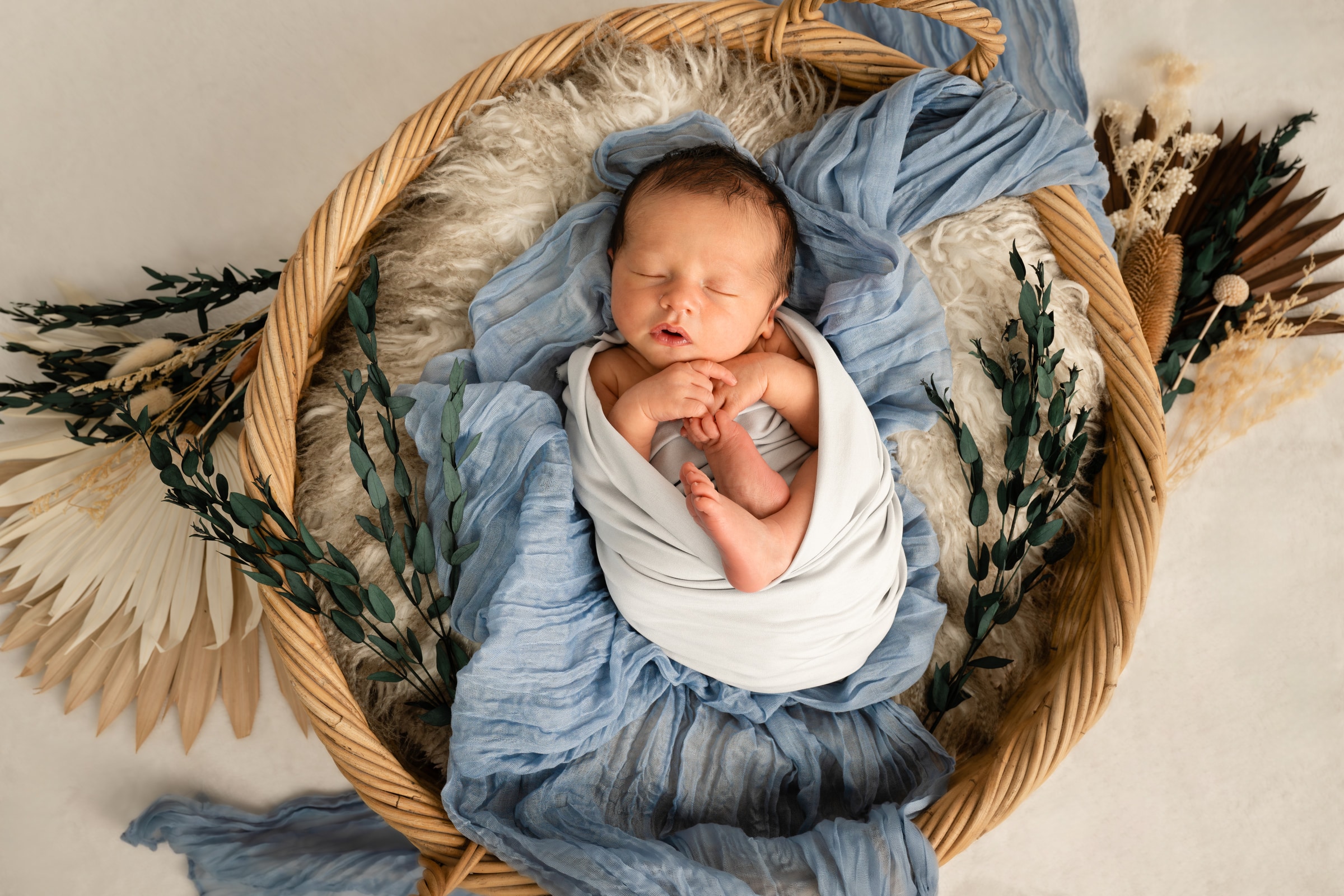 Newborn